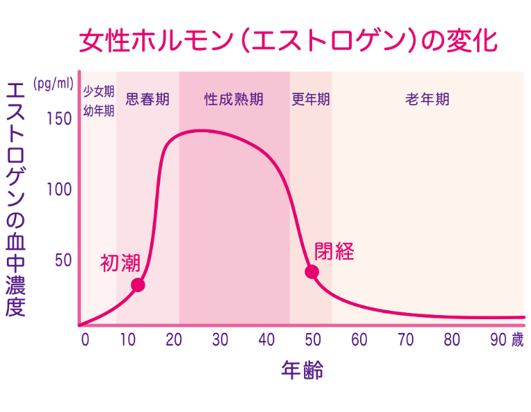 エストロゲンとは